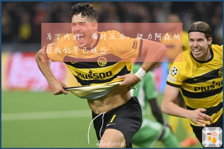马丁内利：面对压力，效力阿森纳让我们早已适应