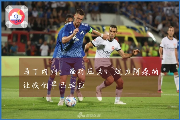 马丁内利：面对压力，效力阿森纳让我们早已适应