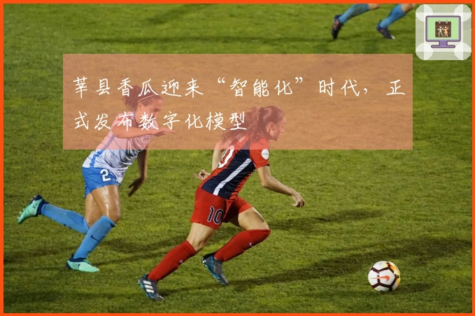 莘县香瓜迎来“智能化”时代，正式发布数字化模型