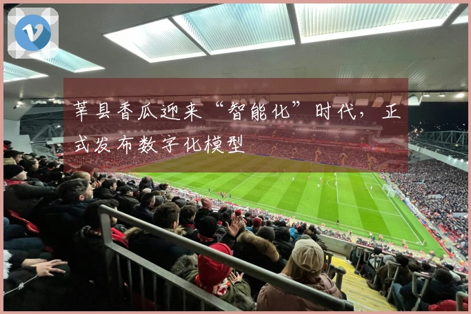 莘县香瓜迎来“智能化”时代，正式发布数字化模型