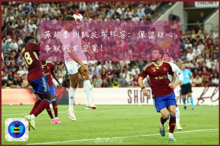苏超泰州队发布阵容：保留核心，争取冠军卫冕！