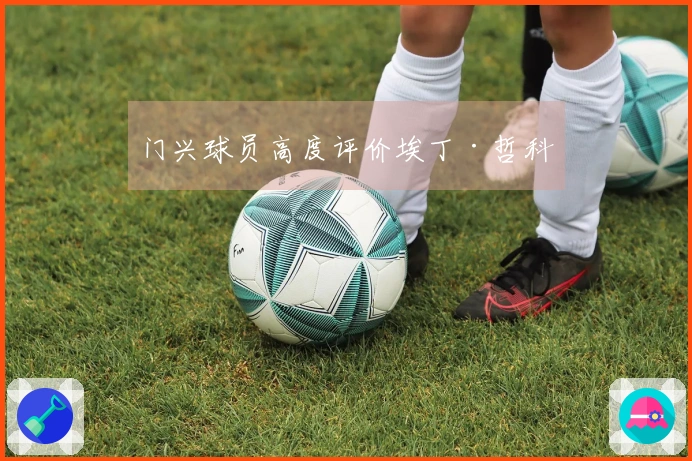 门兴球员高度评价埃丁·哲科